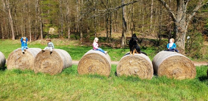Kinder und Hund Espin sitzen auf Heuballen am Waldrand.